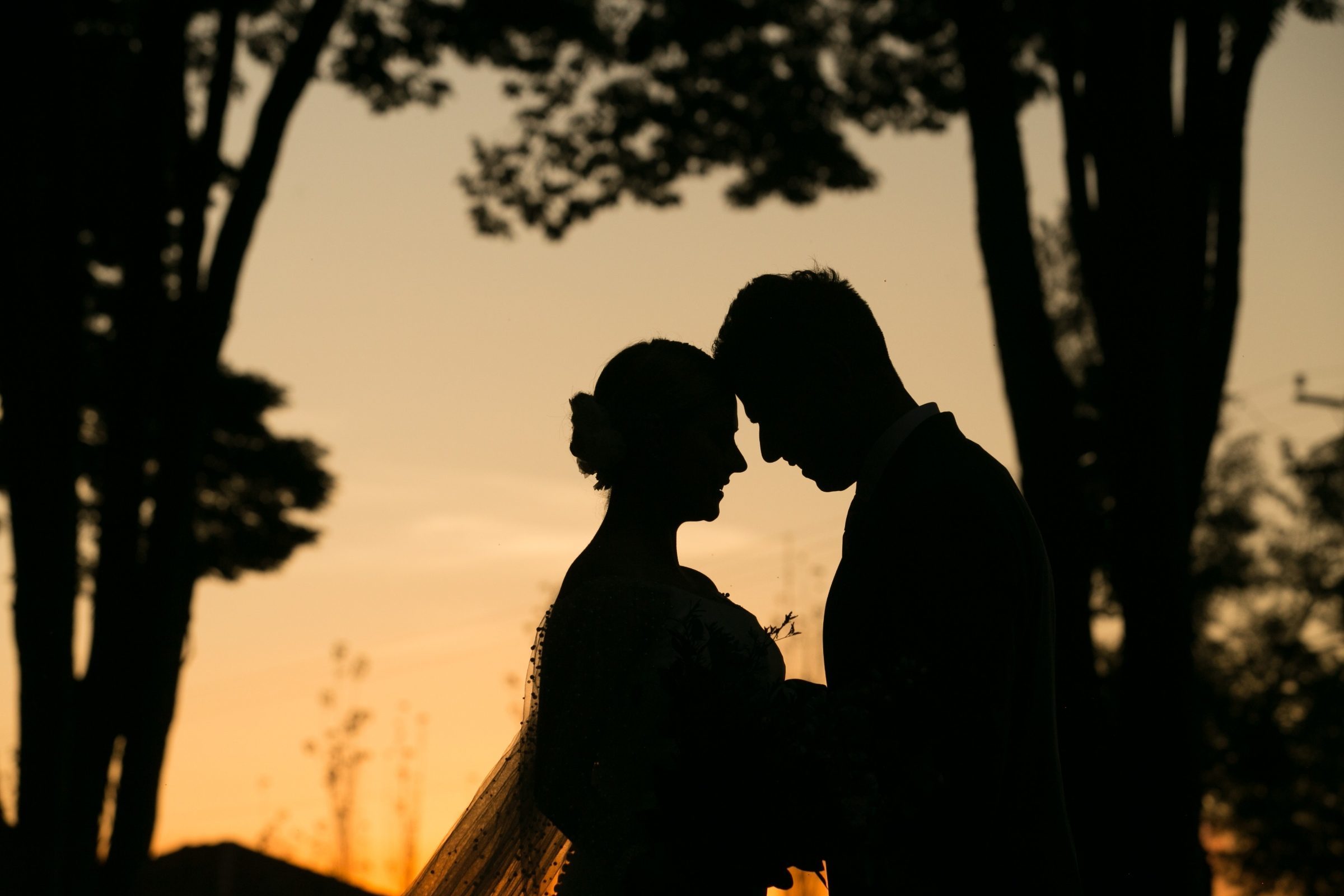 Foto de Dois Elos Fotografias 3