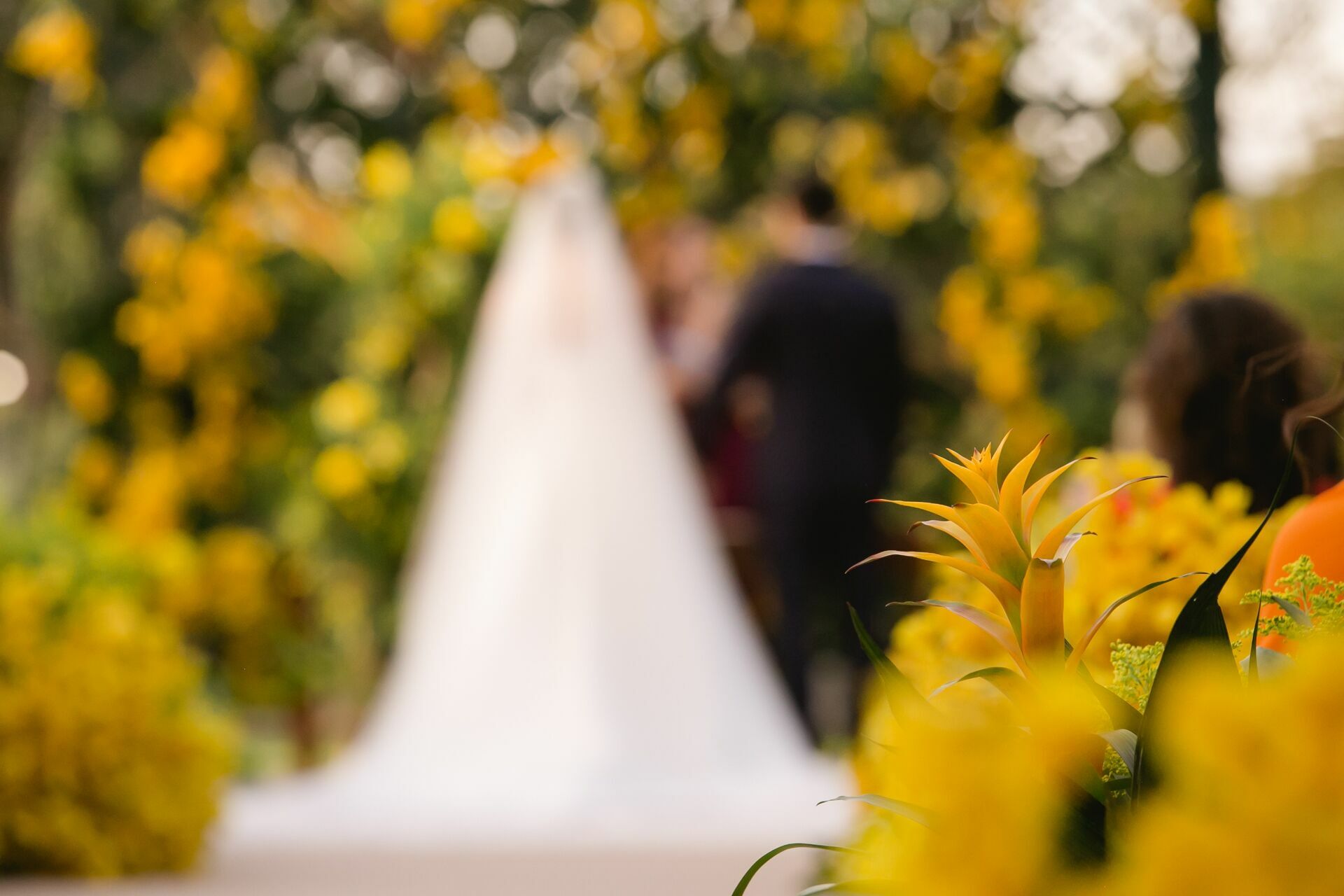 Foto Maria e José - Casamento - Fazenda Espelho D'Água - Ribeirão Preto Foto Maria e José - Casamento - Fazenda Espelho D'Água - Ribeirão Preto - Imagem 36