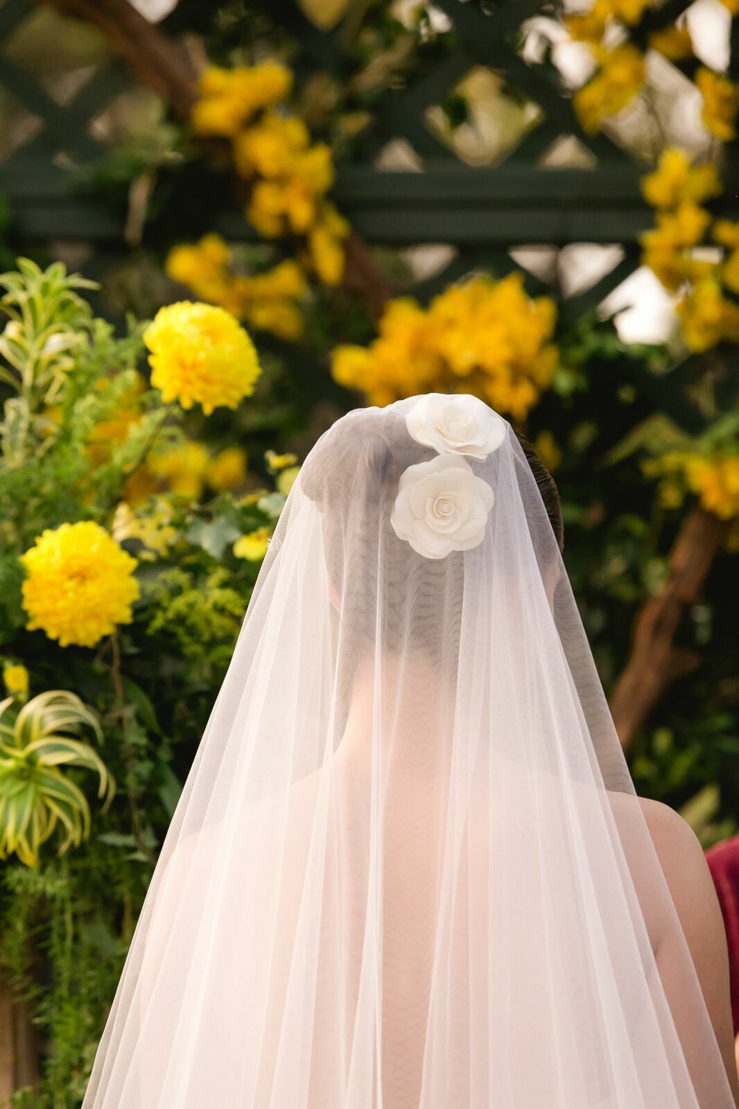 Foto Maria e José - Casamento - Fazenda Espelho D'Água - Ribeirão Preto Foto Maria e José - Casamento - Fazenda Espelho D'Água - Ribeirão Preto - Imagem 39
