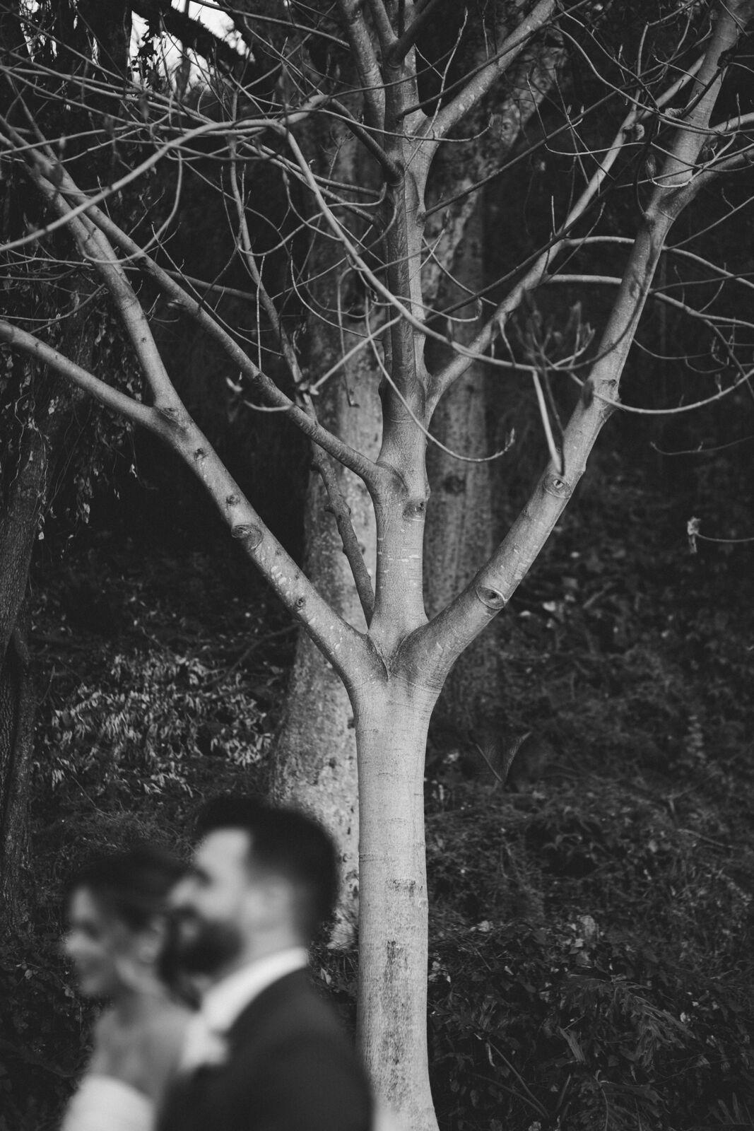 Foto Casamento Livia e Luiz - Bella Citta - Ribeirão Preto - Imagem 66