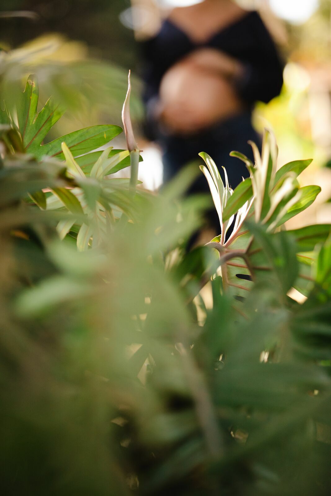 Foto Isa e Chico - Ensaio de Gestante - Imagem 10