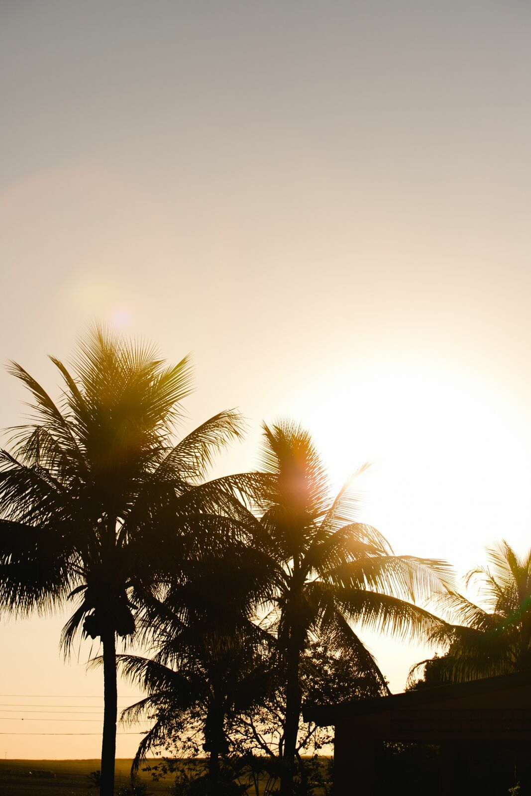 Foto Isa e Chico - Ensaio de Gestante - Imagem 27