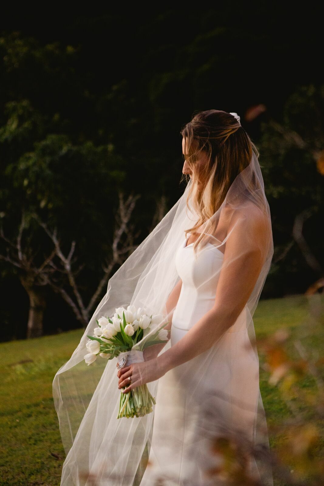Foto Casamento Rebeca e Túlio - Serra da Mantiqueira  - Imagem 49