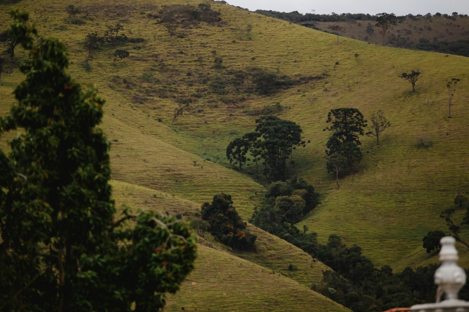 Foto Casamento Rebeca e Túlio - Serra da Mantiqueira  - Imagem 24