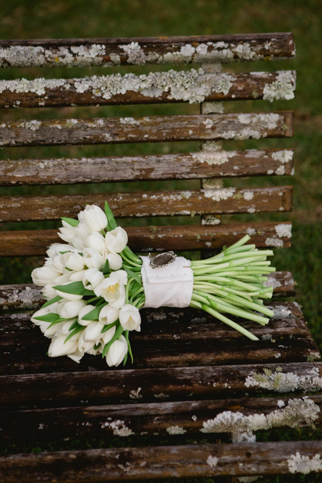 Foto Casamento Rebeca e Túlio - Serra da Mantiqueira  - Imagem 45
