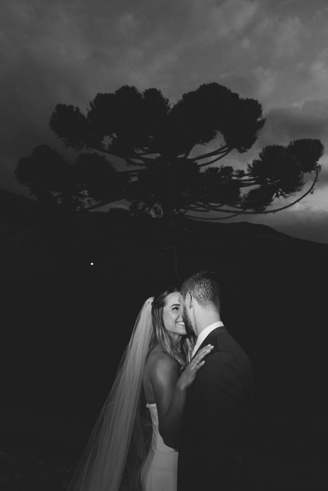 Foto Casamento Rebeca e Túlio - Serra da Mantiqueira  - Imagem 54