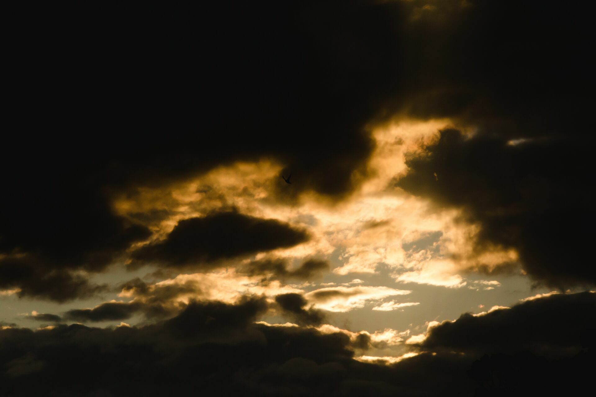 Foto Casamento Rebeca e Túlio - Serra da Mantiqueira  - Imagem 37