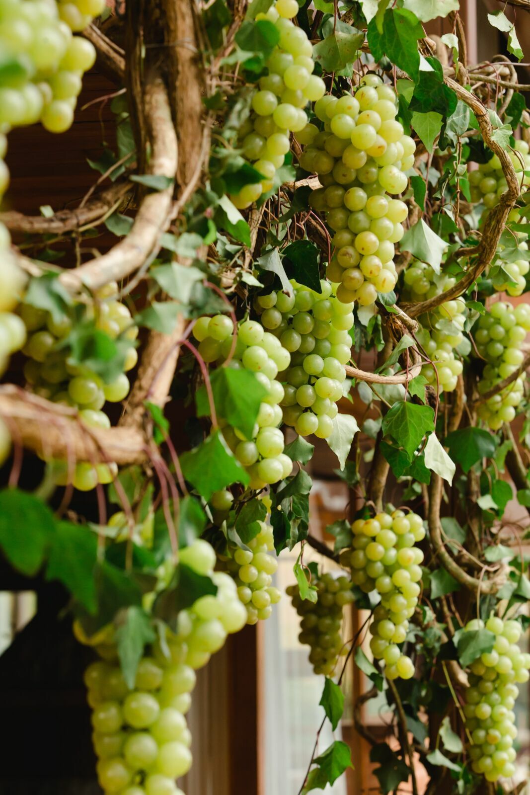 Foto Casamento Rebeca e Túlio - Serra da Mantiqueira  - Imagem 3